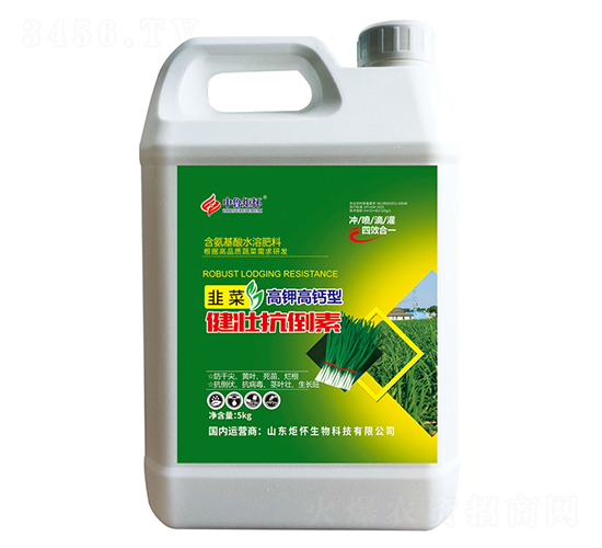 �²˽��ѿ�����-ɽ�|�������