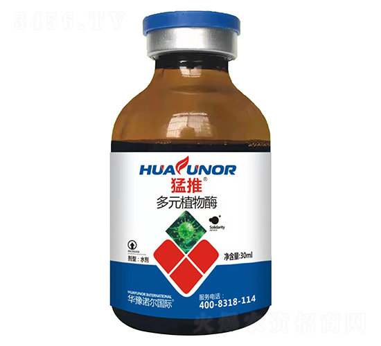 ��Ԫֲ��ø-����-�Z������