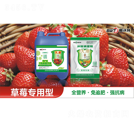 ��ݮ����ˮ���ԛ_ʩ�ι��-�ֶ��r(n��ng)�I(y��)