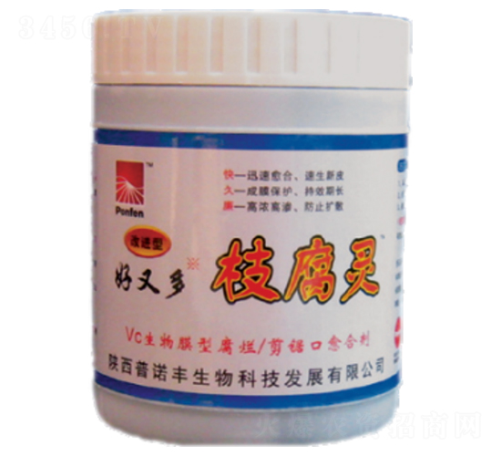 ���ֶ�֦���`-���Z�S