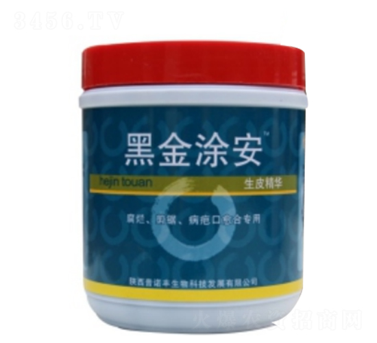 �ڽ�Ϳ��-���Z�S