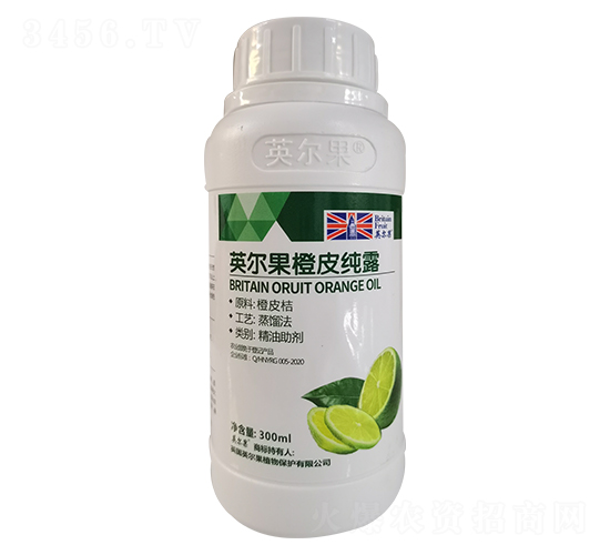 Ӣ������Ƥ��¶-Ӣ����