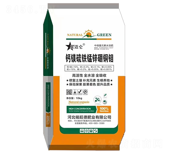 �}�V���F�i�\���~�f-����·ʘI(y��)