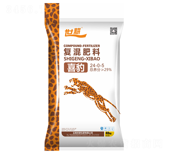 ϲ����(f��)�����24-0-5-����