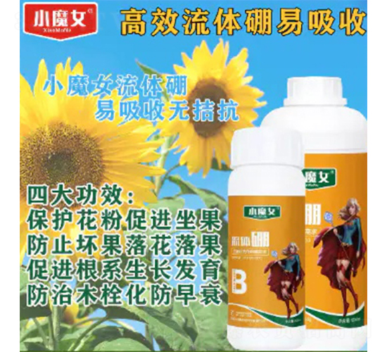 ���w��-СħŮ-���н�