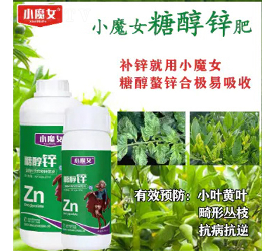 �Ǵ��\-СħŮ-���н�