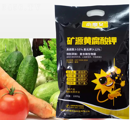 �VԴ�S�����-СħŮ-���н�