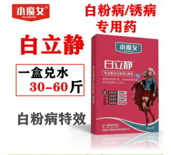 �׷۲����P������ˎ-�����o-СħŮ-���н�