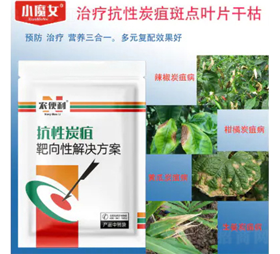 ����̿�Ұ����Խ�Q����-�r(n��ng)����-���н�