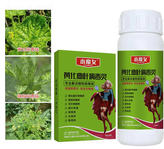 �S�����~�����`-СħŮ-���н�