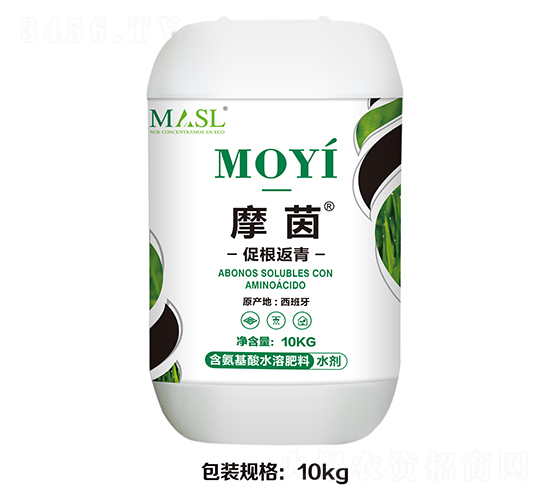 �ٸ�����-Ħ��-������