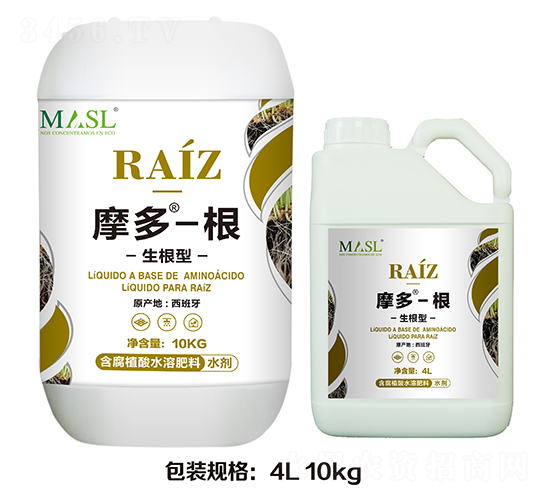 ������Ħ�ࡤ��-������