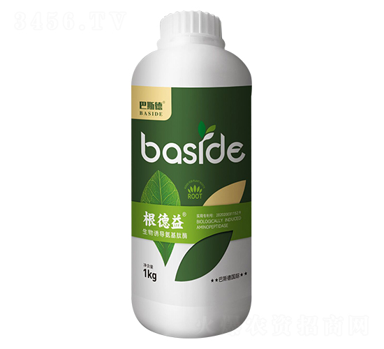 �����T��(d��o)������ø-������-��˹��