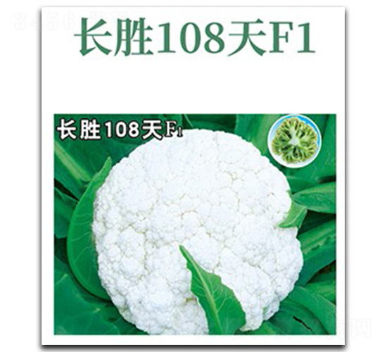 �L(zh��ng)��108��-��Ҭ�˷N��-���d