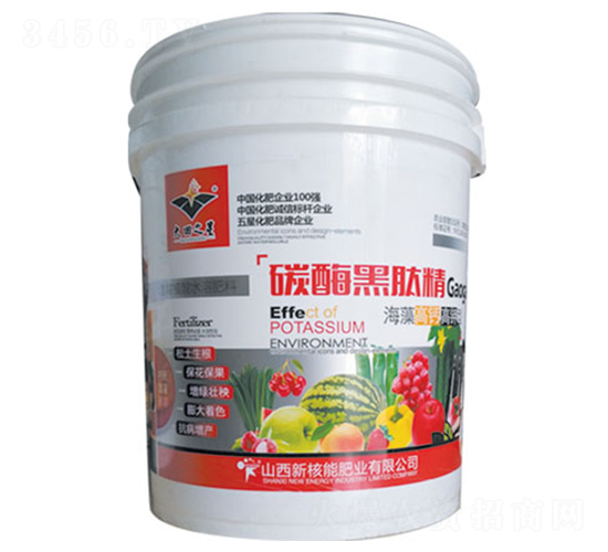 ̼ø���ľ�-�º���