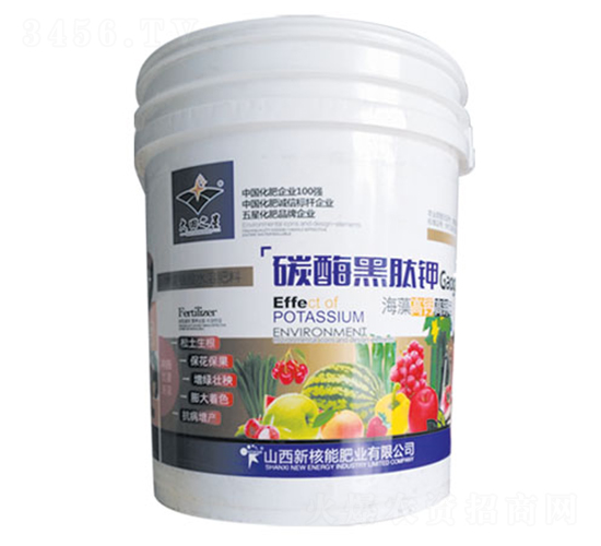 ̼ø�����-�º���