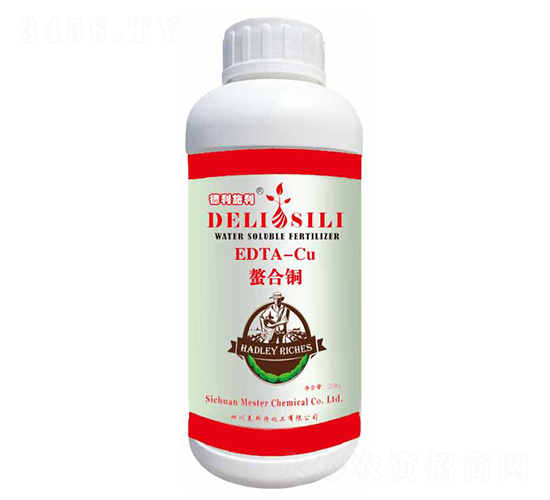 ����˹�������~-㑝�����