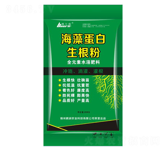 ���嵰��������-�i���r(n��ng)�I(y��)