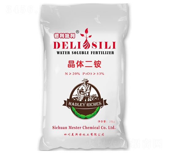 ����˹�����w���@-㑝�(r��n)����