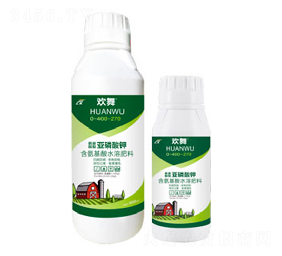 �������́������-�g��-�B������