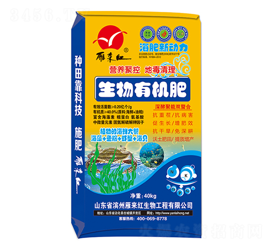 �����ЙC(j��)��-��������-����t