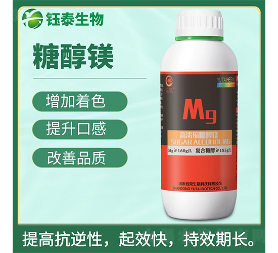 �ߝ�s�Ǵ��V-�̩����