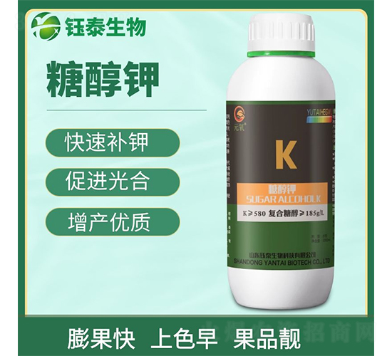 �Ǵ��-�̩����