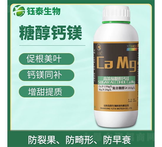 �Ǵ��}�V-�̩����