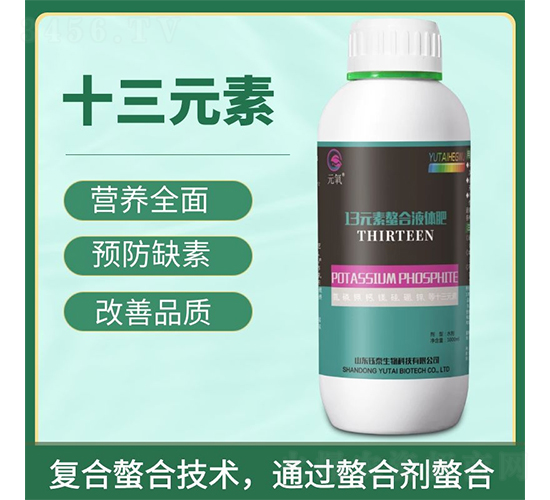 13Ԫ������Һ�w��-�̩����