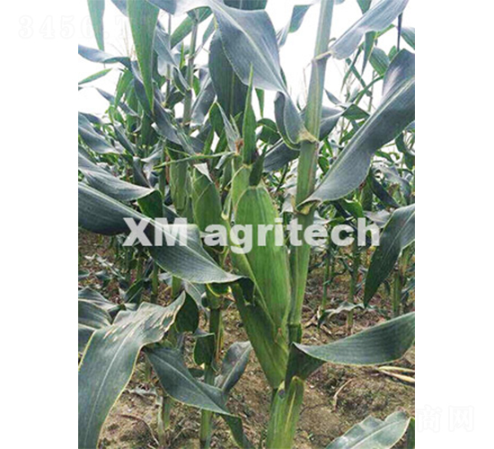 ̩��һ̖-�����׷N��-���r(n��ng)�r(n��ng)�I(y��)