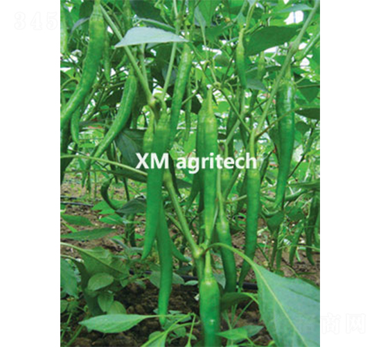 ����֮��-�����N��-���r(n��ng)�r(n��ng)�I(y��)