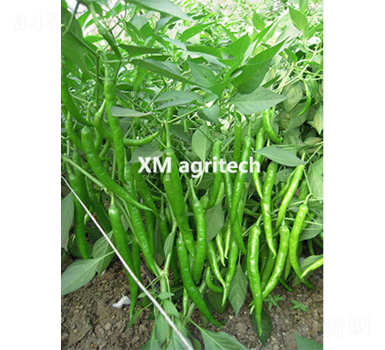 ����A5-�����N��-���r�r�I(y��)