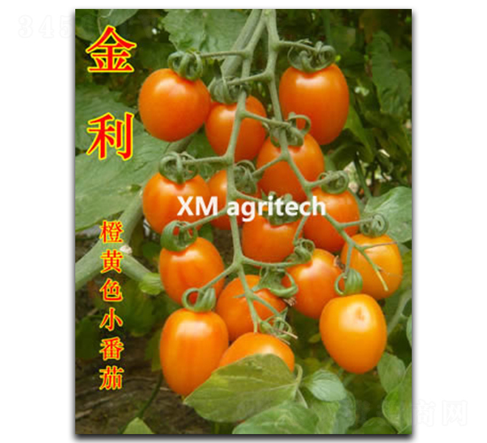 ����-���ҷ��ѷN��-���r(n��ng)�r(n��ng)�I(y��)