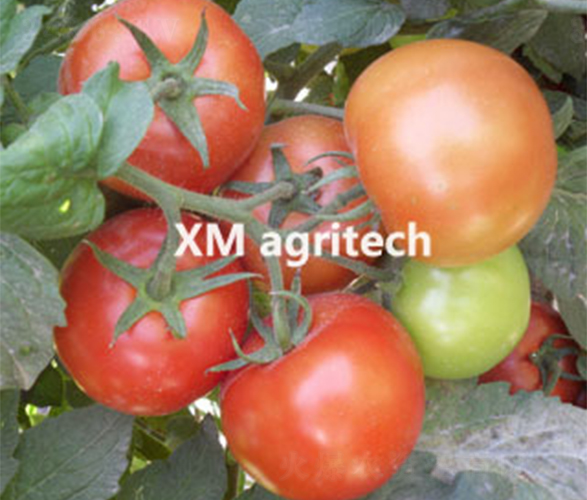 ����106-���ѷN��-���r(n��ng)�r(n��ng)�I(y��)