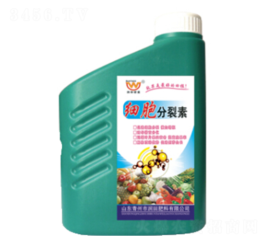 ����������-�������