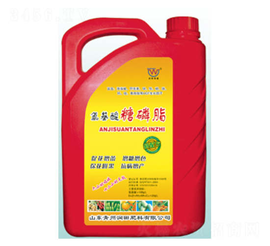 ����������֬-��(r��n)�����