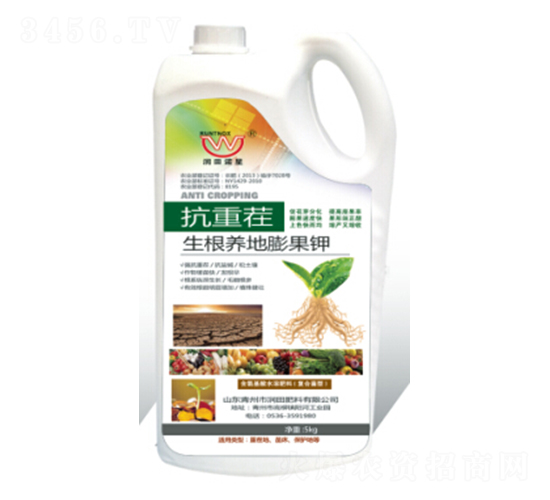 ���ز�-�����B(y��ng)������-�������