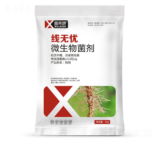 ΢�������-���o�n-ϲ����