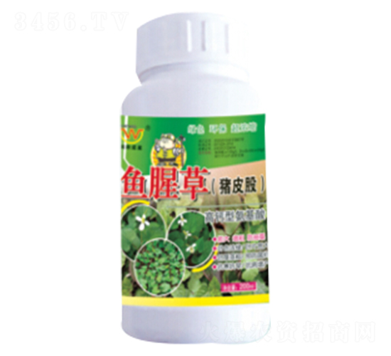 �~(y��)�Ȳݣ��iƤ�ɣ����ð������~���-��(r��n)�����