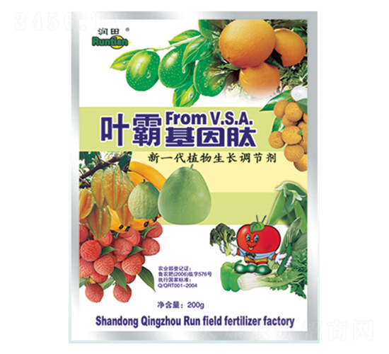 �~�Ի�����-�������