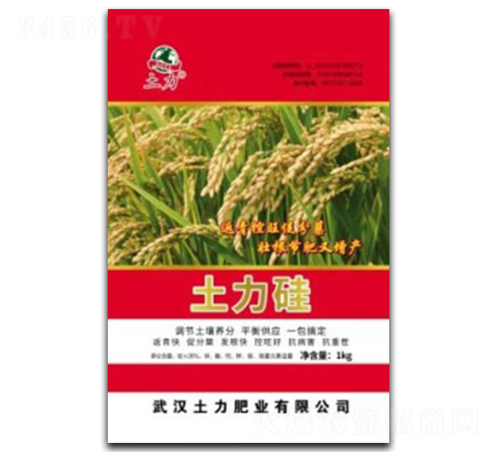 �������-�����ʘI(y��)