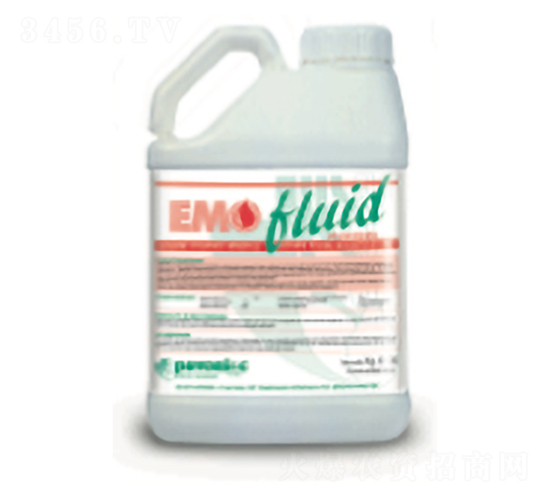 ���⡤����-����