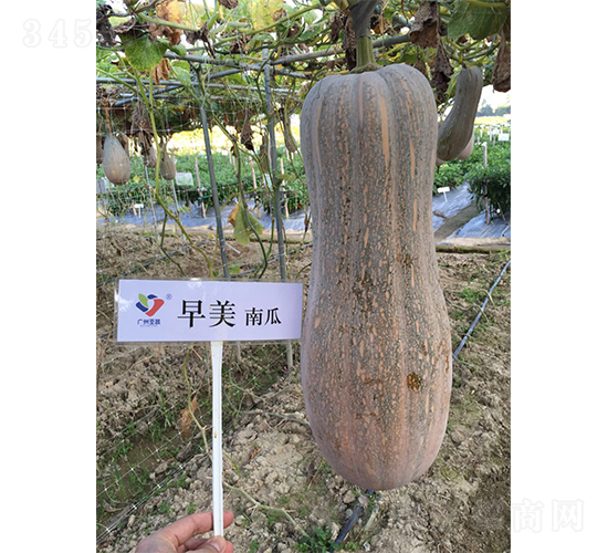 ��������1̖-�ϹϷN��-�V�݁���