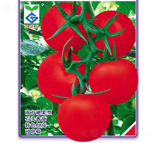 ���@��1̖(h��o)-���ѷN��-�V�݁���