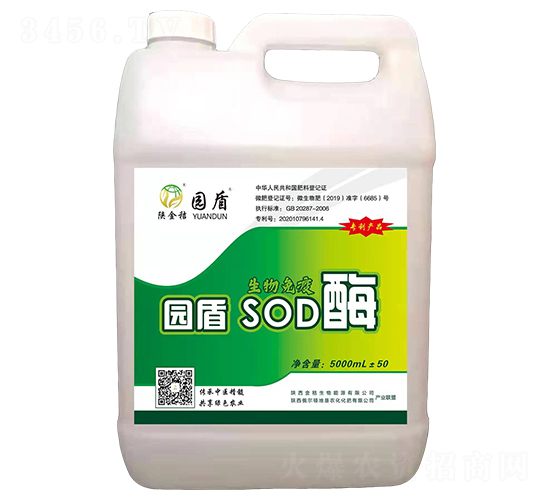 ��������SODø-�@��-�������