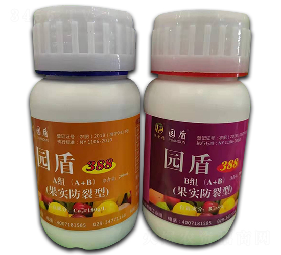 �������ѽM��-�@��388-�������