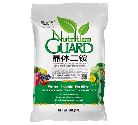 ���w���@-��ͨ-���r(n��ng)����