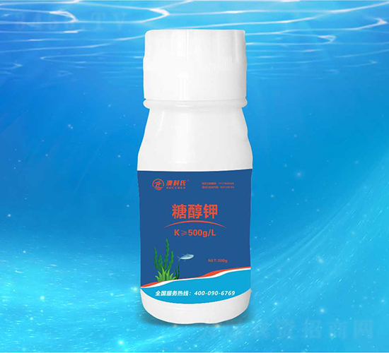 �Ǵ��-�Ŀ���