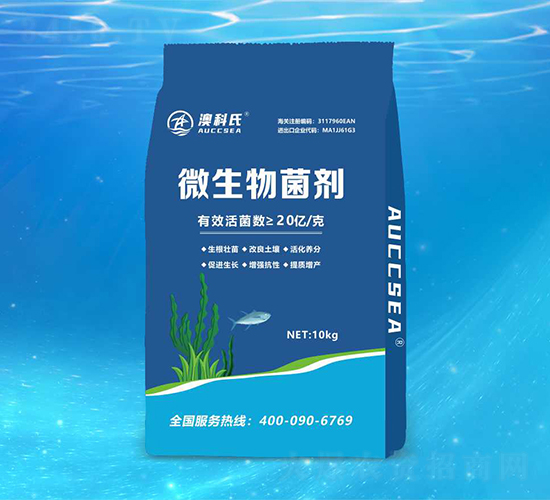 ΢�������-�Ŀ���