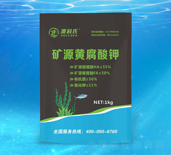 �VԴ�S�����-�Ŀ���